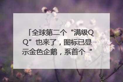 全球第二个“满级QQ”也来了，图标已显示金色企鹅，系首个“满级QQ”的小号